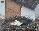 Capi_Dubne_20250505_191004.jpg