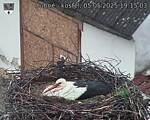 Capi_Dubne_20250505_191503.jpg