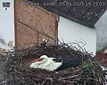 Capi_Dubne_20250505_192503.jpg