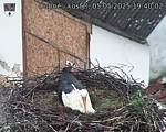 Capi_Dubne_20250505_194002.jpg