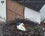 Capi_Dubne_20250505_194503.jpg