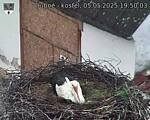 Capi_Dubne_20250505_195003.jpg