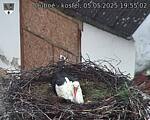 Capi_Dubne_20250505_195502.jpg