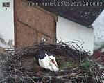 Capi_Dubne_20250505_200003.jpg