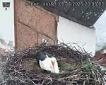 Capi_Dubne_20250505_200503.jpg