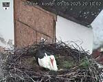 Capi_Dubne_20250505_201002.jpg