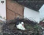 Capi_Dubne_20250505_201503.jpg