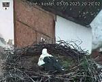 Capi_Dubne_20250505_202002.jpg