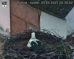 Capi_Dubne_20250505_203002.jpg