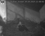 Capi_Dubne_20250505_210002.jpg
