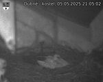 Capi_Dubne_20250505_210502.jpg