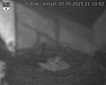 Capi_Dubne_20250505_211002.jpg