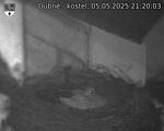 Capi_Dubne_20250505_212003.jpg