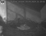 Capi_Dubne_20250505_212502.jpg