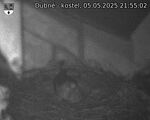 Capi_Dubne_20250505_215502.jpg