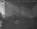 Capi_Dubne_20250505_220003.jpg