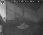 Capi_Dubne_20250505_222003.jpg