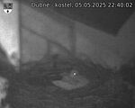 Capi_Dubne_20250505_224002.jpg