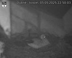 Capi_Dubne_20250505_225003.jpg