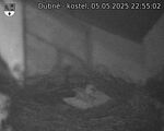 Capi_Dubne_20250505_225502.jpg