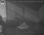 Capi_Dubne_20250505_231502.jpg