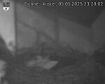 Capi_Dubne_20250505_232002.jpg