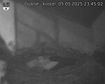 Capi_Dubne_20250505_234502.jpg