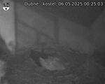 Capi_Dubne_20250506_002503.jpg