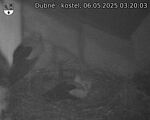 Capi_Dubne_20250506_032003.jpg