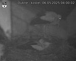 Capi_Dubne_20250506_040002.jpg