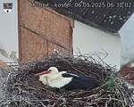 Capi_Dubne_20250506_063002.jpg