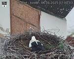 Capi_Dubne_20250506_070003.jpg