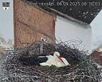 Capi_Dubne_20250506_083003.jpg