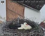 Capi_Dubne_20250506_084002.jpg