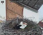 Capi_Dubne_20250506_092003.jpg