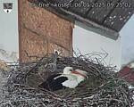 Capi_Dubne_20250506_092502.jpg