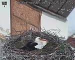 Capi_Dubne_20250506_093502.jpg