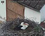 Capi_Dubne_20250506_094502.jpg
