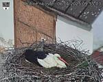 Capi_Dubne_20250506_095503.jpg