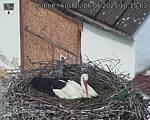 Capi_Dubne_20250506_101503.jpg