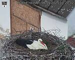 Capi_Dubne_20250506_102002.jpg