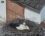 Capi_Dubne_20250506_102502.jpg