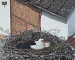 Capi_Dubne_20250506_104503.jpg