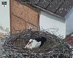 Capi_Dubne_20250506_105502.jpg