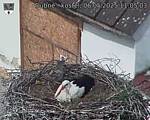Capi_Dubne_20250506_110503.jpg