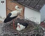 Capi_Dubne_20250506_113503.jpg