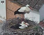 Capi_Dubne_20250506_120002.jpg