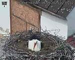 Capi_Dubne_20250506_120502.jpg