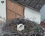 Capi_Dubne_20250506_121003.jpg