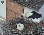 Capi_Dubne_20250506_121503.jpg